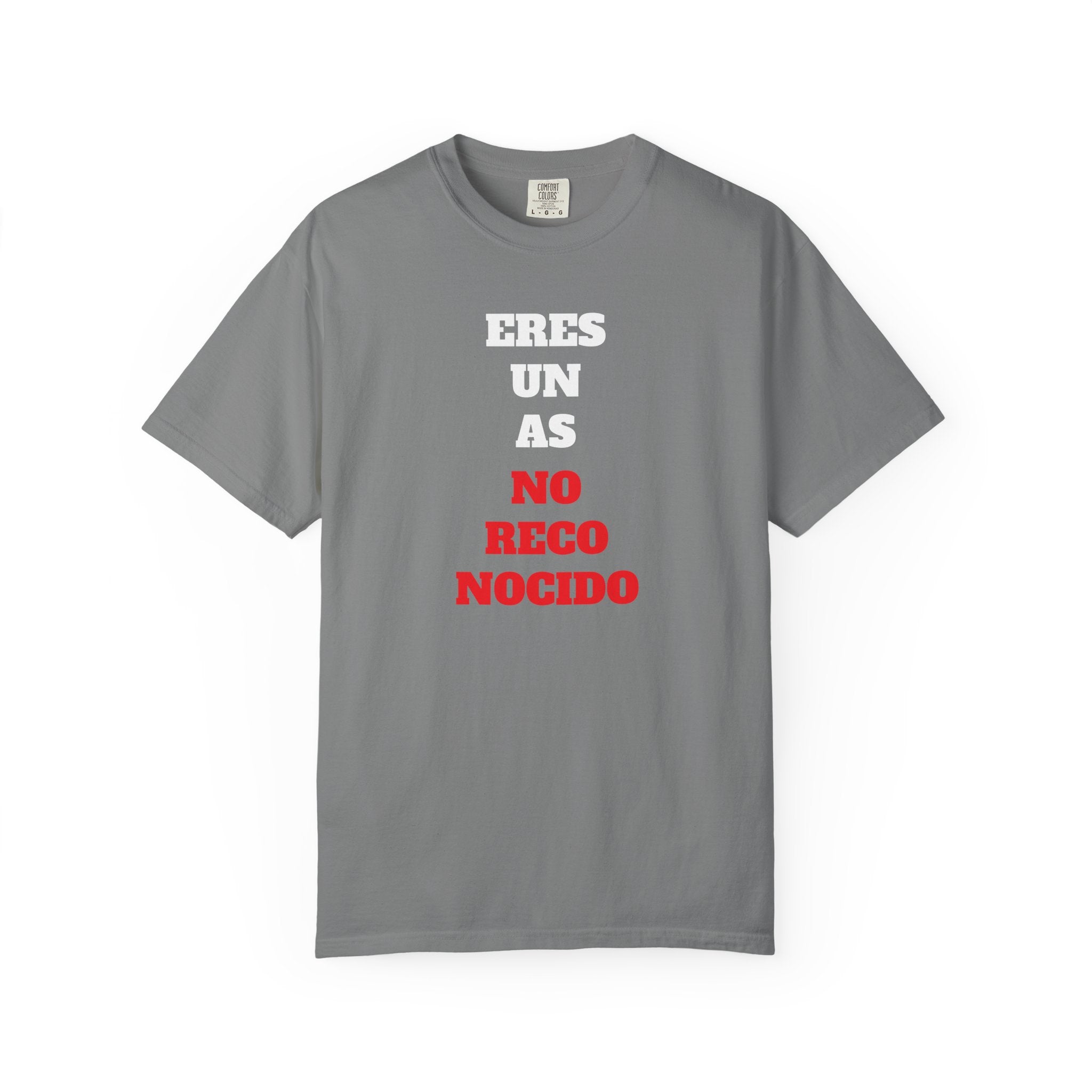 Funny Unisex T-shirt, Hilarious Tee, Humorous Shirt, Comical Top, Camisetas Divertidas, Men's Women's Clothing