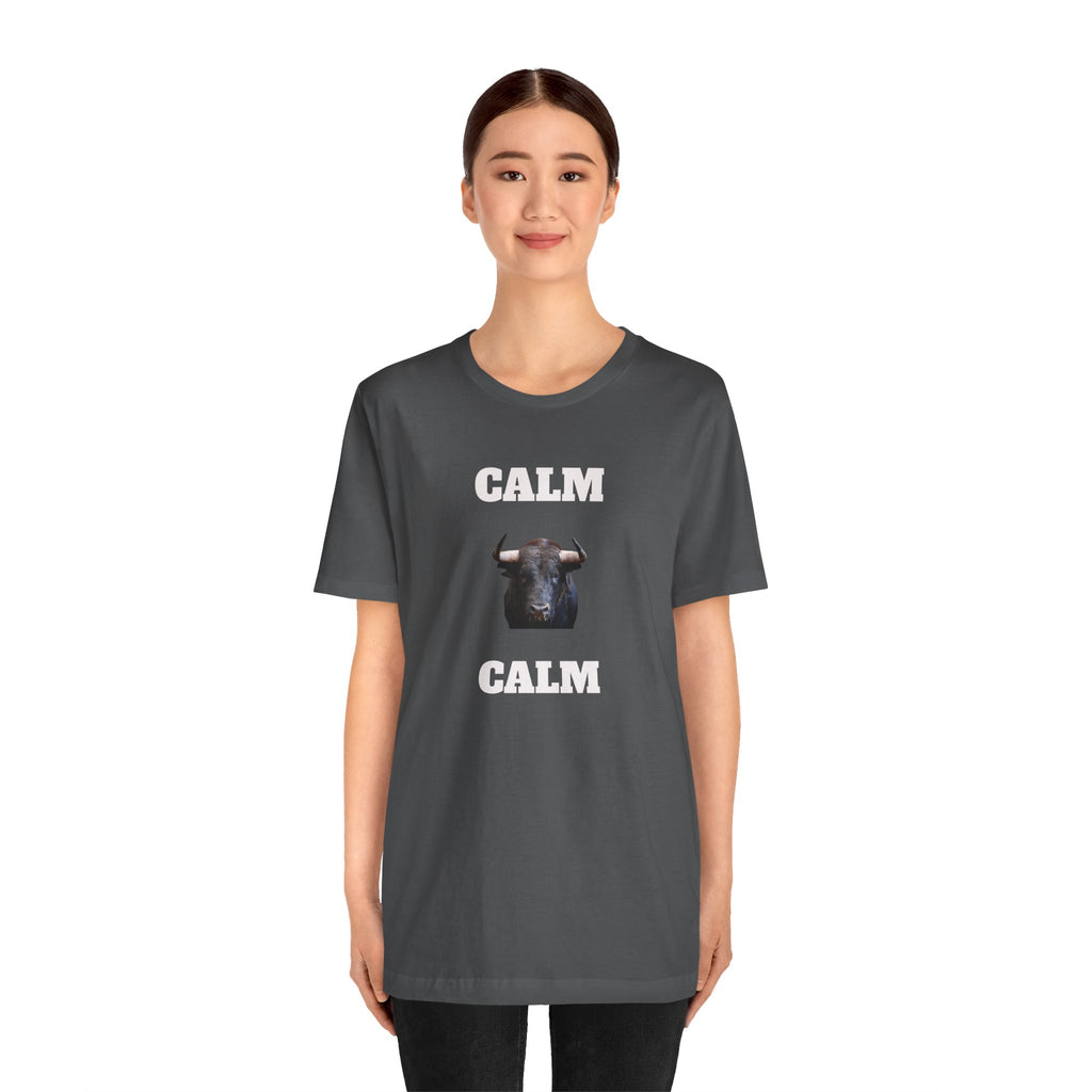 Funny Unisex Tee, Sarcastic T Shirt, Holiday Gift, Casual Wear, Joke Clothing, Birthday Gift. 'Calm... Calm'