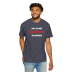 Funny Unisex T-shirt, Mexican Humorous Tee, Sarcastic Shirt, Casual T-shirt Neutral Gender.'No te me calientes Plancha'