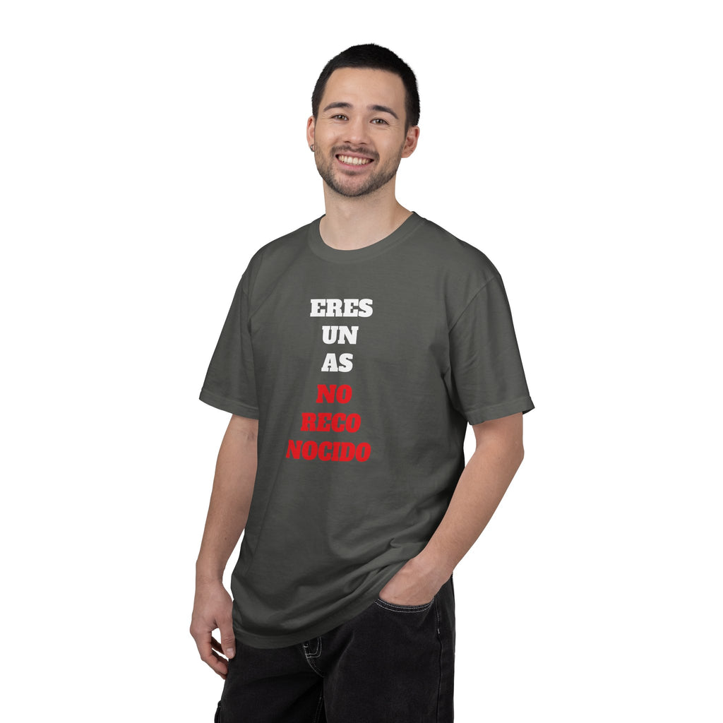 Funny Unisex T-shirt, Hilarious Tee, Humorous Shirt, Comical Top, Camisetas Divertidas, Men's Women's Clothing