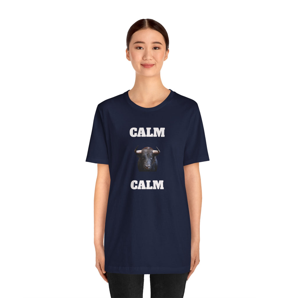 Funny Unisex Tee, Sarcastic T Shirt, Holiday Gift, Casual Wear, Joke Clothing, Birthday Gift. 'Calm... Calm'