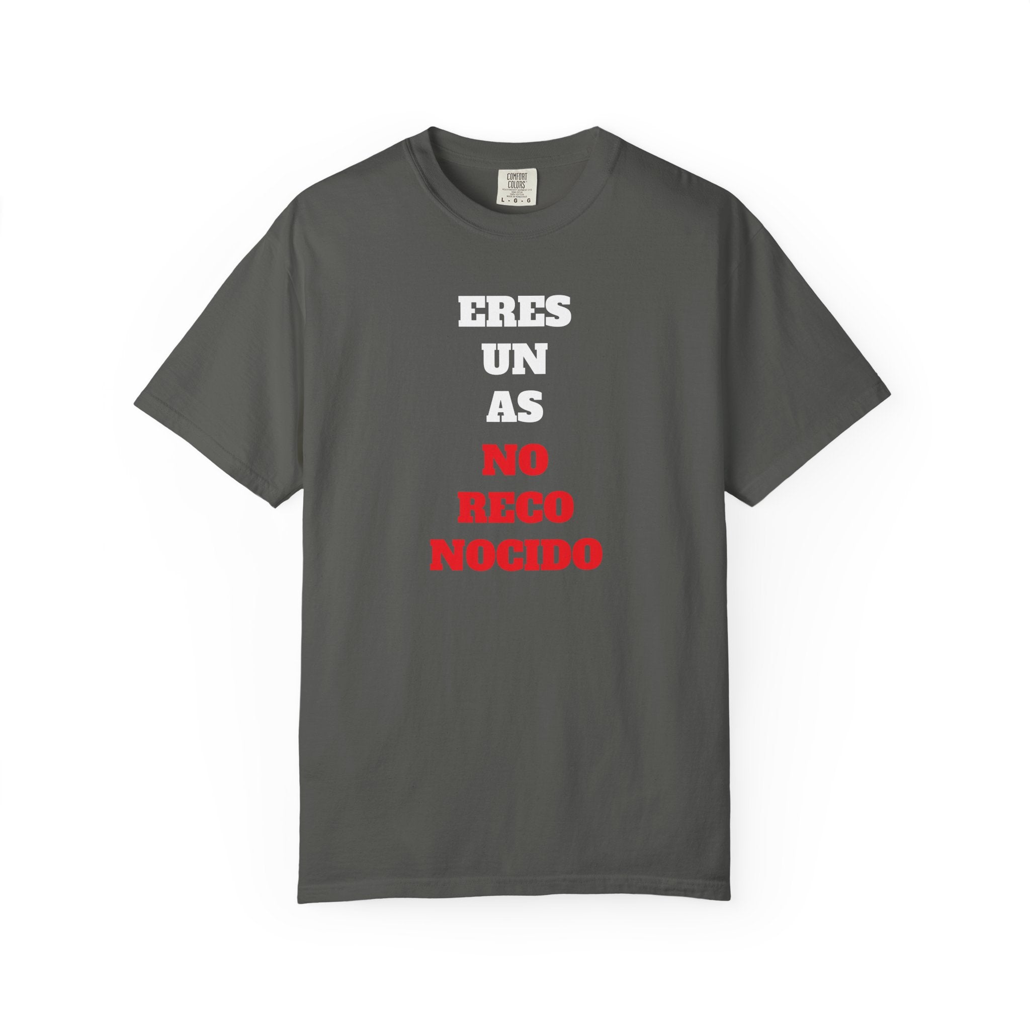 Funny Unisex T-shirt, Hilarious Tee, Humorous Shirt, Comical Top, Camisetas Divertidas, Men's Women's Clothing