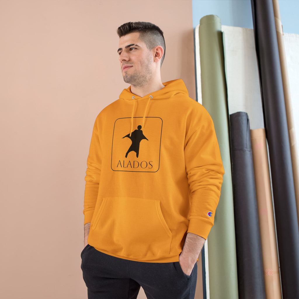 Sporting Champion Hoodie,Unique Design For Adventure Lovers,Great Gift for Holidays.Neutral Gender Hoodie. 'ALADOS:Life is a Wonderful Adventure'