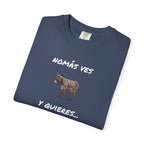 Humorous Mexican Pride T-Shirt, Latino Tee,Funny Mexican T shirt. 'Nomás ves burro  y quieres ...Viaje'