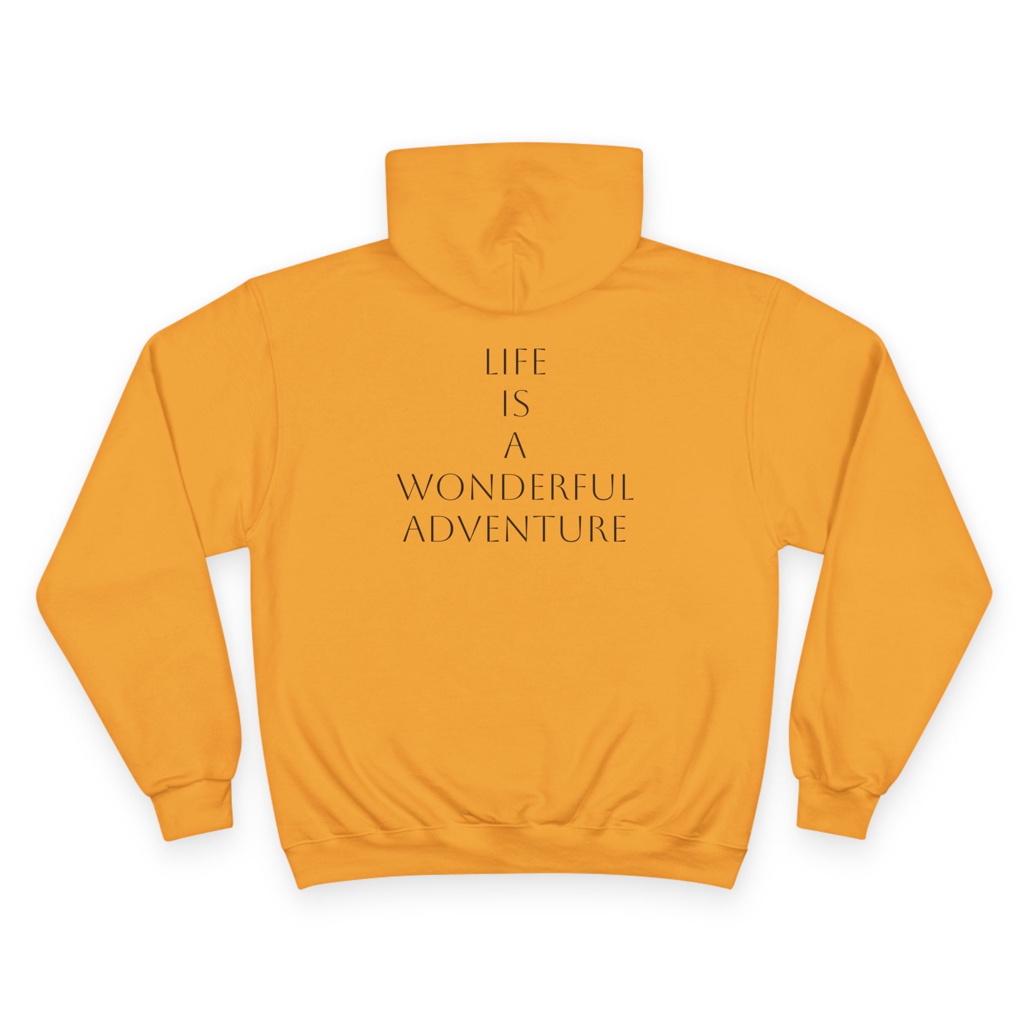 Sporting Champion Hoodie,Unique Design For Adventure Lovers,Great Gift for Holidays.Neutral Gender Hoodie. 'ALADOS:Life is a Wonderful Adventure'