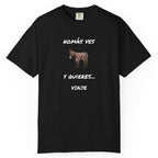 Humorous Mexican Pride T-Shirt, Latino Tee,Funny Mexican T shirt. 'Nomás ves burro  y quieres ...Viaje'