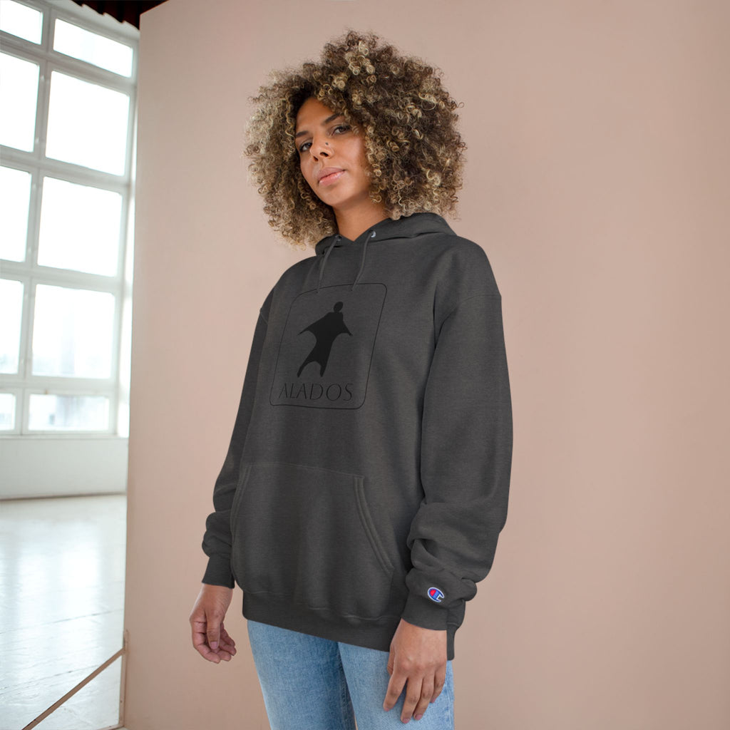 Sporting Champion Hoodie,Unique Design For Adventure Lovers,Great Gift for Holidays.Neutral Gender Hoodie. 'ALADOS:Life is a Wonderful Adventure'