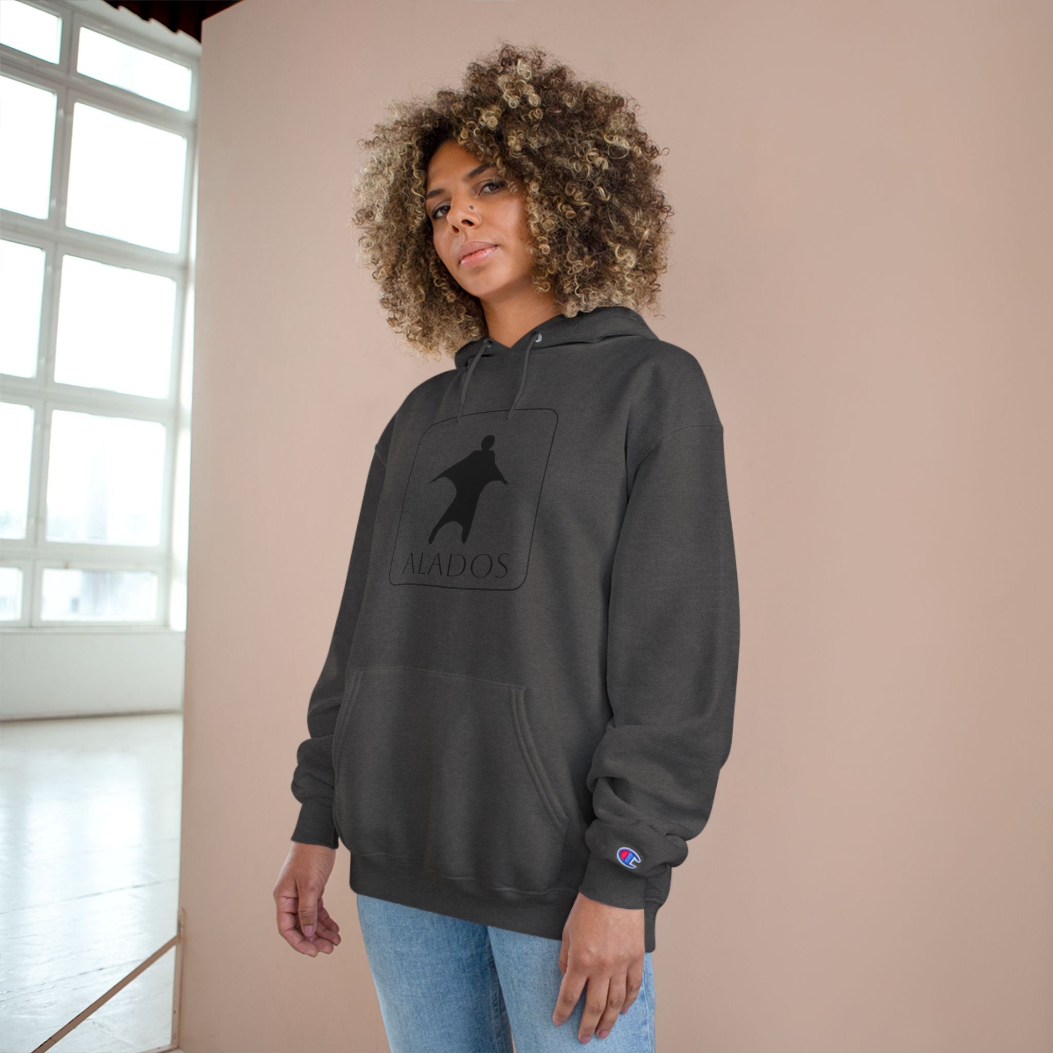 Sporting Champion Hoodie,Unique Design For Adventure Lovers,Great Gift for Holidays.Neutral Gender Hoodie. 'ALADOS:Life is a Wonderful Adventure'