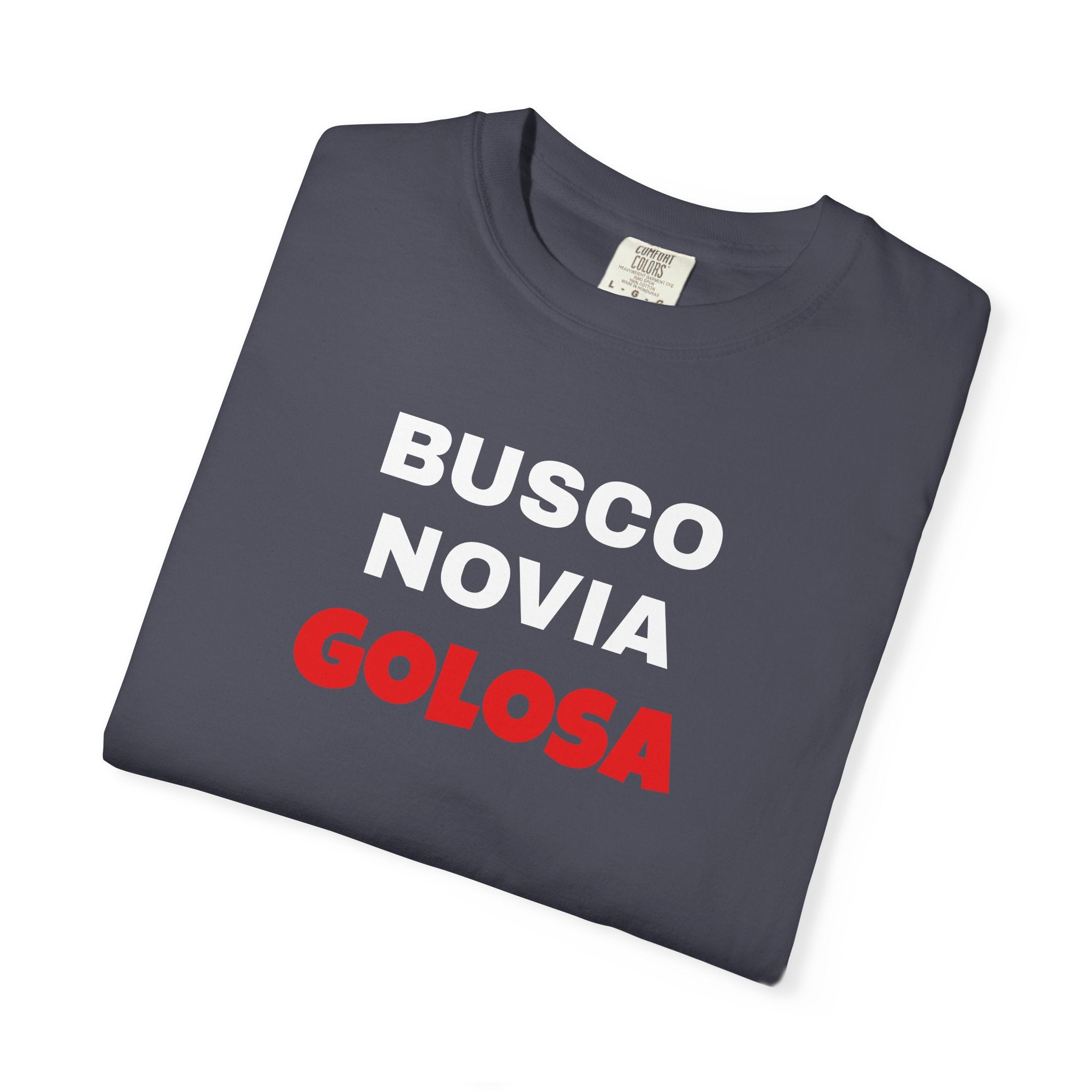 Retro style T shirt,Funny Latin Shirt — Humorous Latin Phrase Tee,Mexican Humor Tee. ' Busco Novia Golosa'