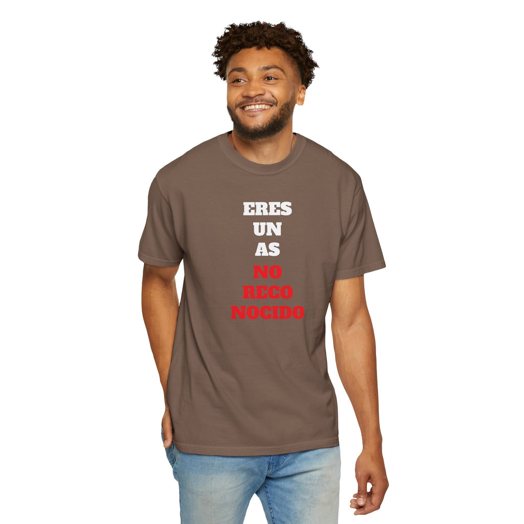Funny Unisex T-shirt, Hilarious Tee, Humorous Shirt, Comical Top, Camisetas Divertidas, Men's Women's Clothing