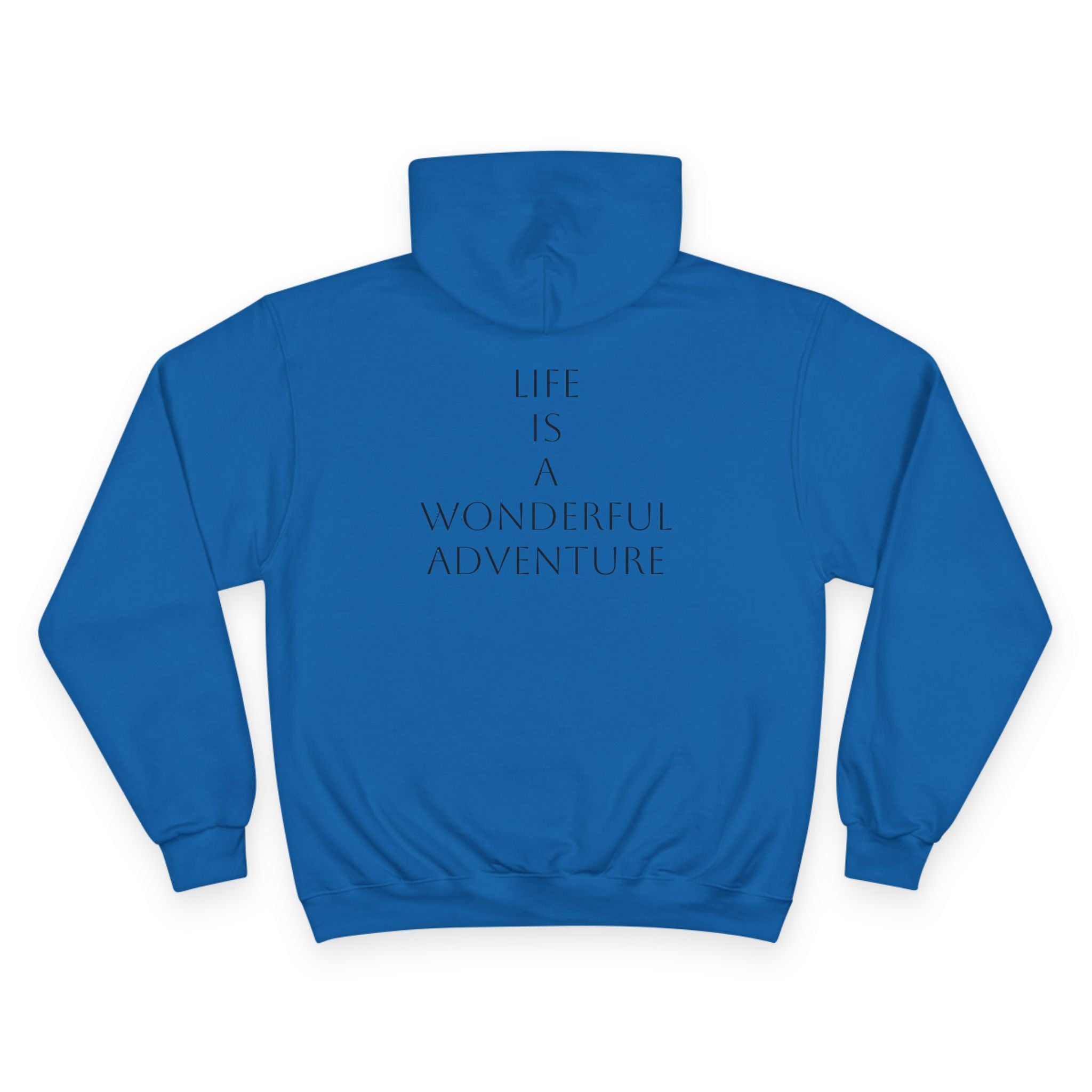 Sporting Champion Hoodie,Unique Design For Adventure Lovers,Great Gift for Holidays.Neutral Gender Hoodie. 'ALADOS:Life is a Wonderful Adventure'