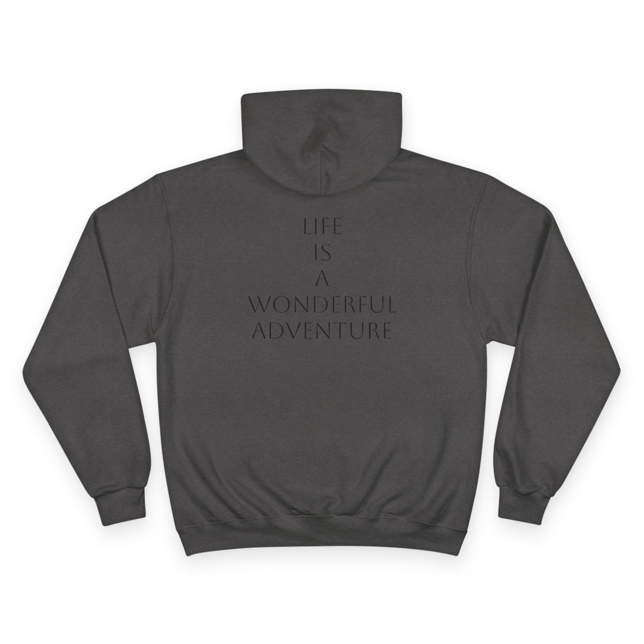 Sporting Champion Hoodie,Unique Design For Adventure Lovers,Great Gift for Holidays.Neutral Gender Hoodie. 'ALADOS:Life is a Wonderful Adventure'