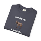 Humorous Mexican Pride T-Shirt, Latino Tee,Funny Mexican T shirt. 'Nomás ves burro  y quieres ...Viaje'