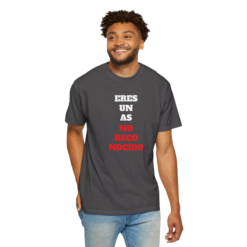 Funny Unisex T-shirt, Hilarious Tee, Humorous Shirt, Comical Top, Camisetas Divertidas, Men's Women's Clothing