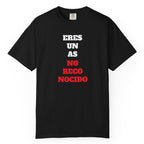 Funny Unisex T-shirt, Hilarious Tee, Humorous Shirt, Comical Top, Camisetas Divertidas, Men's Women's Clothing