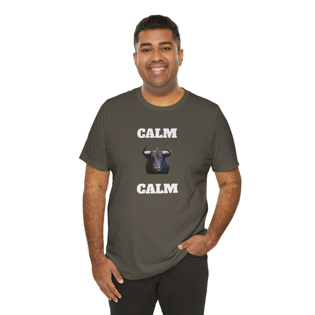 Funny Unisex Tee, Sarcastic T Shirt, Holiday Gift, Casual Wear, Joke Clothing, Birthday Gift. 'Calm... Calm'